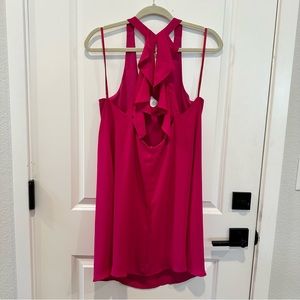 Hot Pink Ruffle Back Dress
